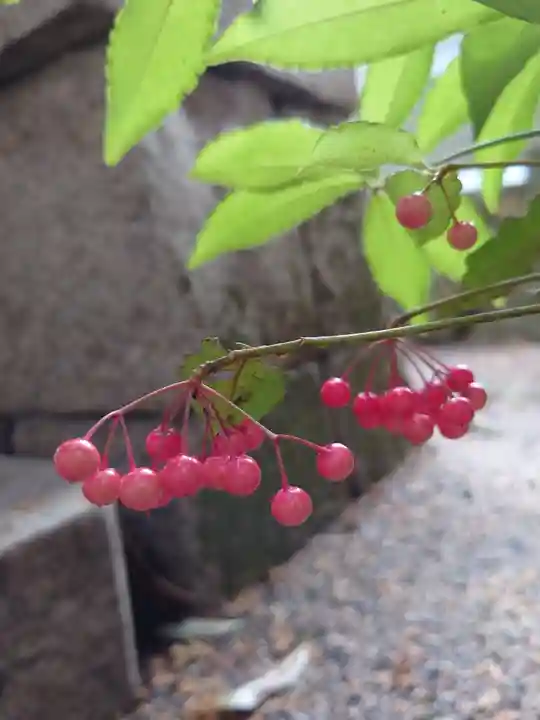 立志神社の自然