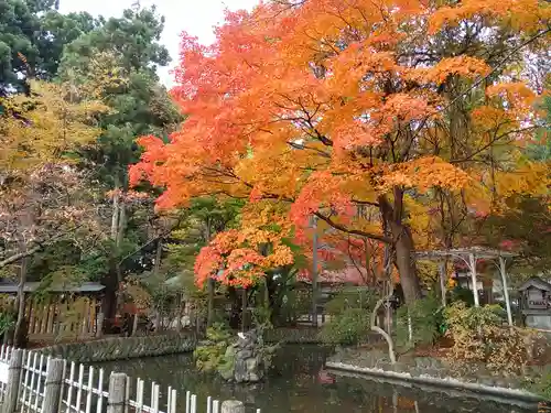 日高神社の庭園