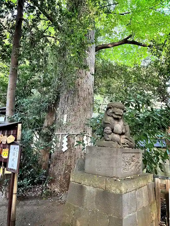 小平神明宮(東京都)