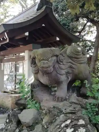 菊田神社の狛犬