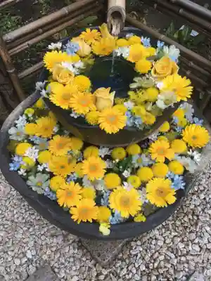 瑞玄寺の手水舎