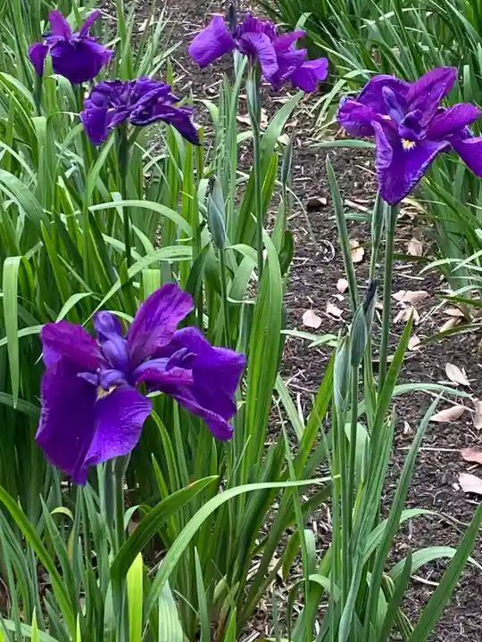 賀茂神社(愛知県)