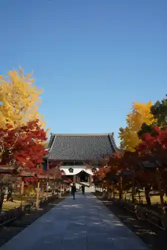  智積院(京都府)
