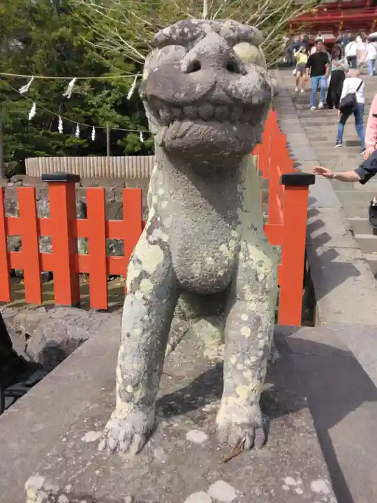 鶴岡八幡宮の狛犬