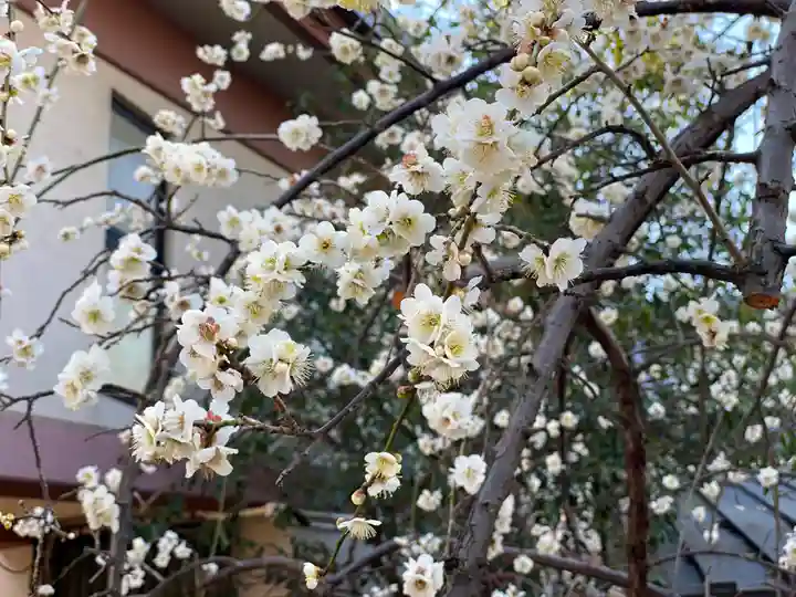 高幡不動尊 金剛寺の自然