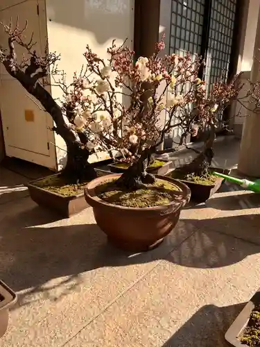 湯島天満宮のその他建物