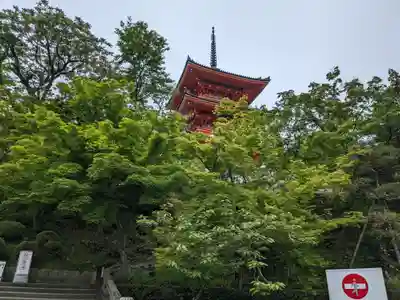 清水寺(京都府)