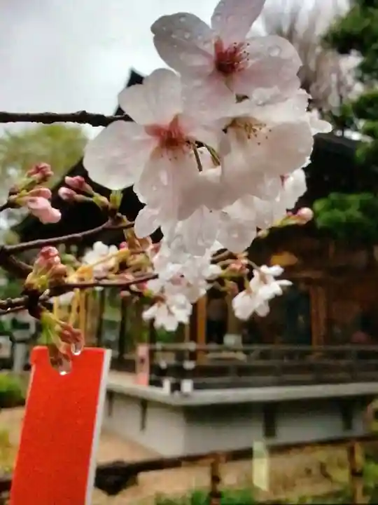 鳩森八幡神社(東京都)