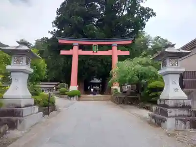 河口浅間神社の鳥居