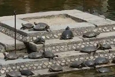 四天王寺(大阪府)