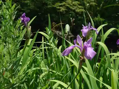 宇賀神社(神奈川県)