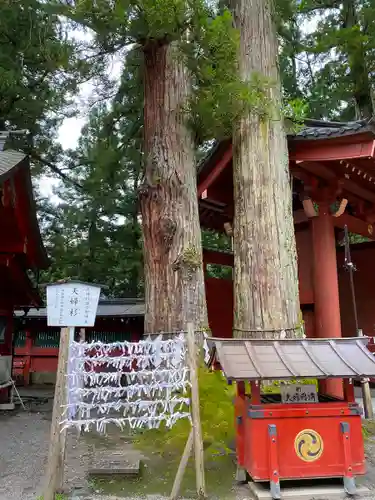 日光二荒山神社の自然