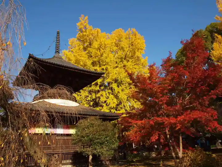 鑁阿寺のその他建物