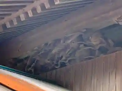 春日神社の芸術