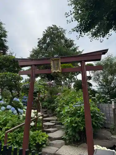 白山神社(東京都)
