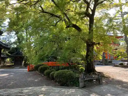 今宮神社の庭園