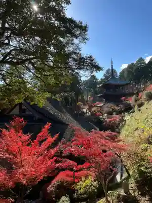 常樂寺(滋賀県)