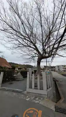 楠木神社(大阪府)