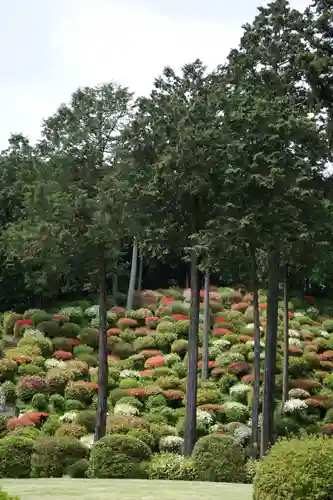  七国山薬王寺(東京都)