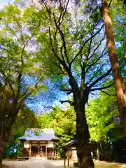 城中八幡神社(茨城県)