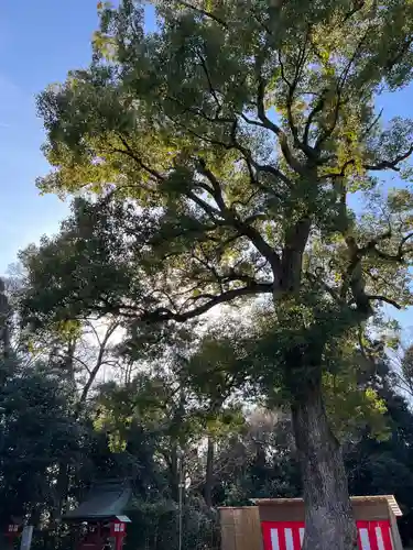 鷲宮神社のその他建物