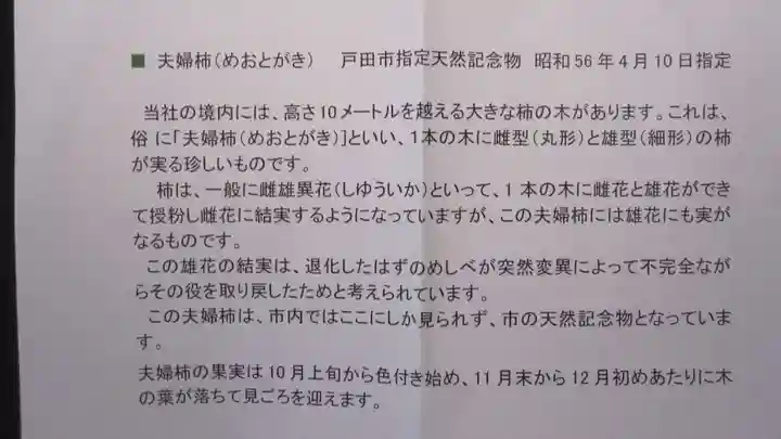 新曽氷川神社(埼玉県)