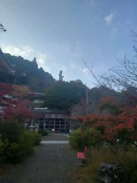 南法華寺(壷阪寺)(奈良県)