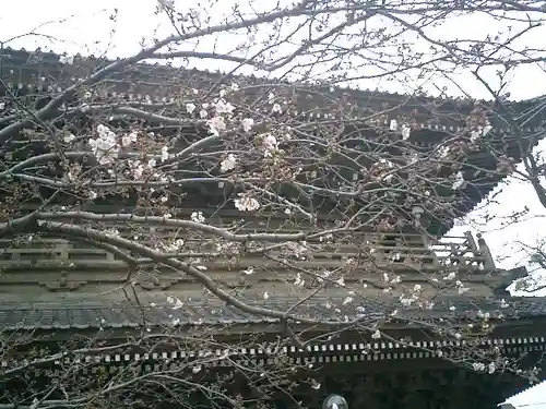 光明寺のその他建物