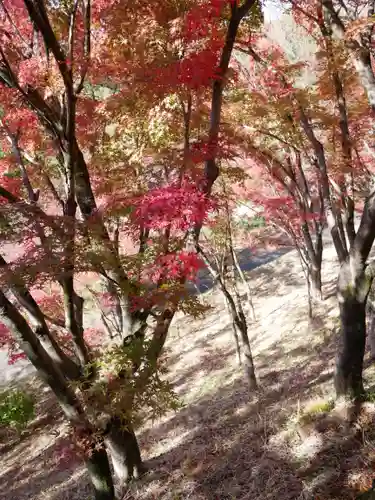 足利織姫神社の景色