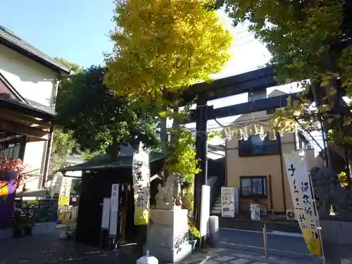 菊名神社の鳥居