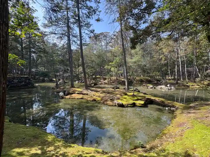 西芳寺の{uncategorized: "未分類", other: "その他", undefined: "問題あり", building: "その他建物", grave: "お墓", sacred_gate: "鳥居", guardian: "狛犬", statue: "像", buddha: "仏像", history: "歴史", nature: "自然", garden: "庭園", animal: "動物", pagoda: "塔", temizu: "手水舎", mountain_gate: "山門・神門", sanctuary: "本殿・本堂", subordinate: "末社・摂社", art: "芸術", scenery: "景色", jizo: "地蔵", ema: "絵馬", goshuin: "御朱印", omikuji: "おみくじ", items: "授与品その他", amulet: "お守り", goshuincho: "御朱印帳", eats: "食事", festival: "お祭り", votive_dance: "神楽", shichigosan: "七五三参", wedding: "結婚式", experience: "体験その他", initially: "初詣", around: "周辺", anti_infection: "感染症対策"}