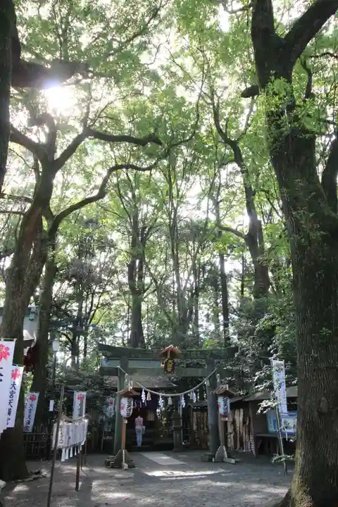 大宮八幡宮の末社・摂社