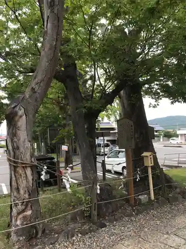 生島足島神社の自然