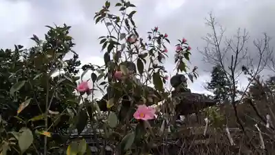 鍬山神社(京都府)