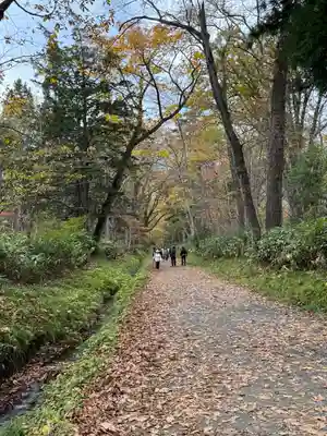 戸隠神社奥社(長野県)