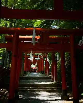 鼻顔稲荷神社(長野県)