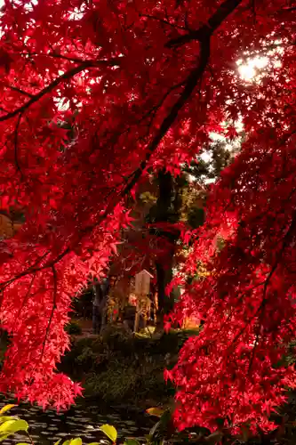大原野神社(京都府)