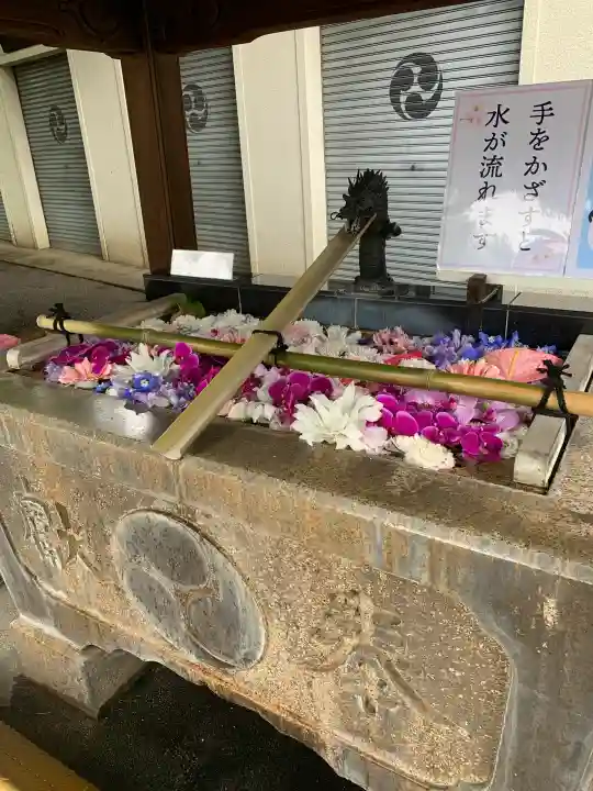 七社神社の{uncategorized: "未分類", other: "その他", undefined: "問題あり", building: "その他建物", grave: "お墓", sacred_gate: "鳥居", guardian: "狛犬", statue: "像", buddha: "仏像", history: "歴史", nature: "自然", garden: "庭園", animal: "動物", pagoda: "塔", temizu: "手水舎", mountain_gate: "山門・神門", sanctuary: "本殿・本堂", subordinate: "末社・摂社", art: "芸術", scenery: "景色", jizo: "地蔵", ema: "絵馬", goshuin: "御朱印", omikuji: "おみくじ", items: "授与品その他", amulet: "お守り", goshuincho: "御朱印帳", eats: "食事", festival: "お祭り", votive_dance: "神楽", shichigosan: "七五三参", wedding: "結婚式", experience: "体験その他", initially: "初詣", around: "周辺", anti_infection: "感染症対策"}