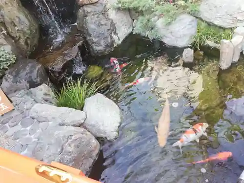 蛇窪神社の動物