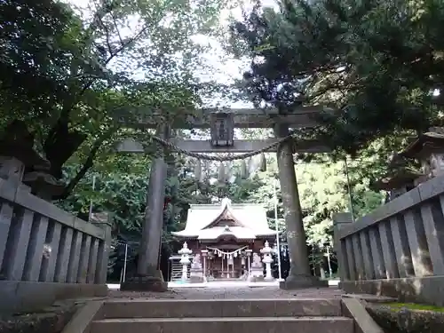 安房神社の鳥居