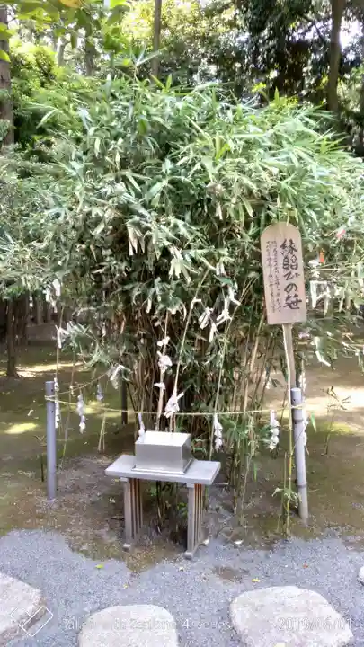 常陸第三宮 吉田神社の自然