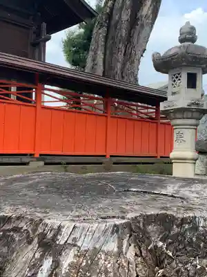 橘神社(埼玉県)