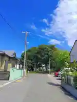 八幡社跡地の自然