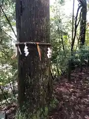 天満神社（西番）(福井県)