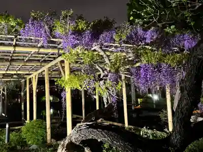 亀戸天神社の{uncategorized: "未分類", other: "その他", undefined: "問題あり", building: "その他建物", grave: "お墓", sacred_gate: "鳥居", guardian: "狛犬", statue: "像", buddha: "仏像", history: "歴史", nature: "自然", garden: "庭園", animal: "動物", pagoda: "塔", temizu: "手水舎", mountain_gate: "山門・神門", sanctuary: "本殿・本堂", subordinate: "末社・摂社", art: "芸術", scenery: "景色", jizo: "地蔵", ema: "絵馬", goshuin: "御朱印", omikuji: "おみくじ", items: "授与品その他", amulet: "お守り", goshuincho: "御朱印帳", eats: "食事", festival: "お祭り", votive_dance: "神楽", shichigosan: "七五三参", wedding: "結婚式", experience: "体験その他", initially: "初詣", around: "周辺", anti_infection: "感染症対策"}