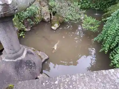 西光寺(長崎県)