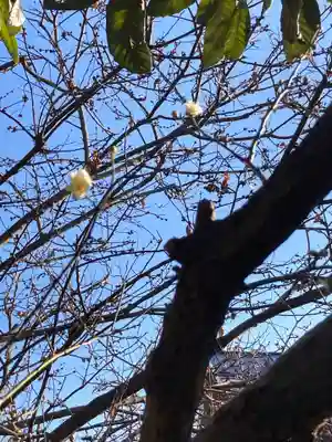 教善寺(神奈川県)