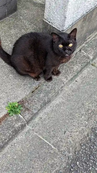 顯正寺(顕正寺)(京都府)