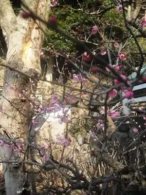 鎌倉宮のその他建物