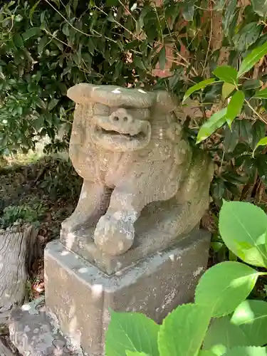 熊野神社の狛犬